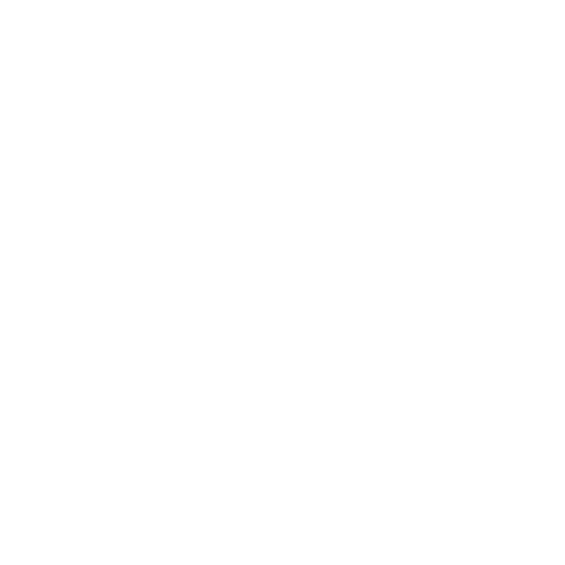 playVideo